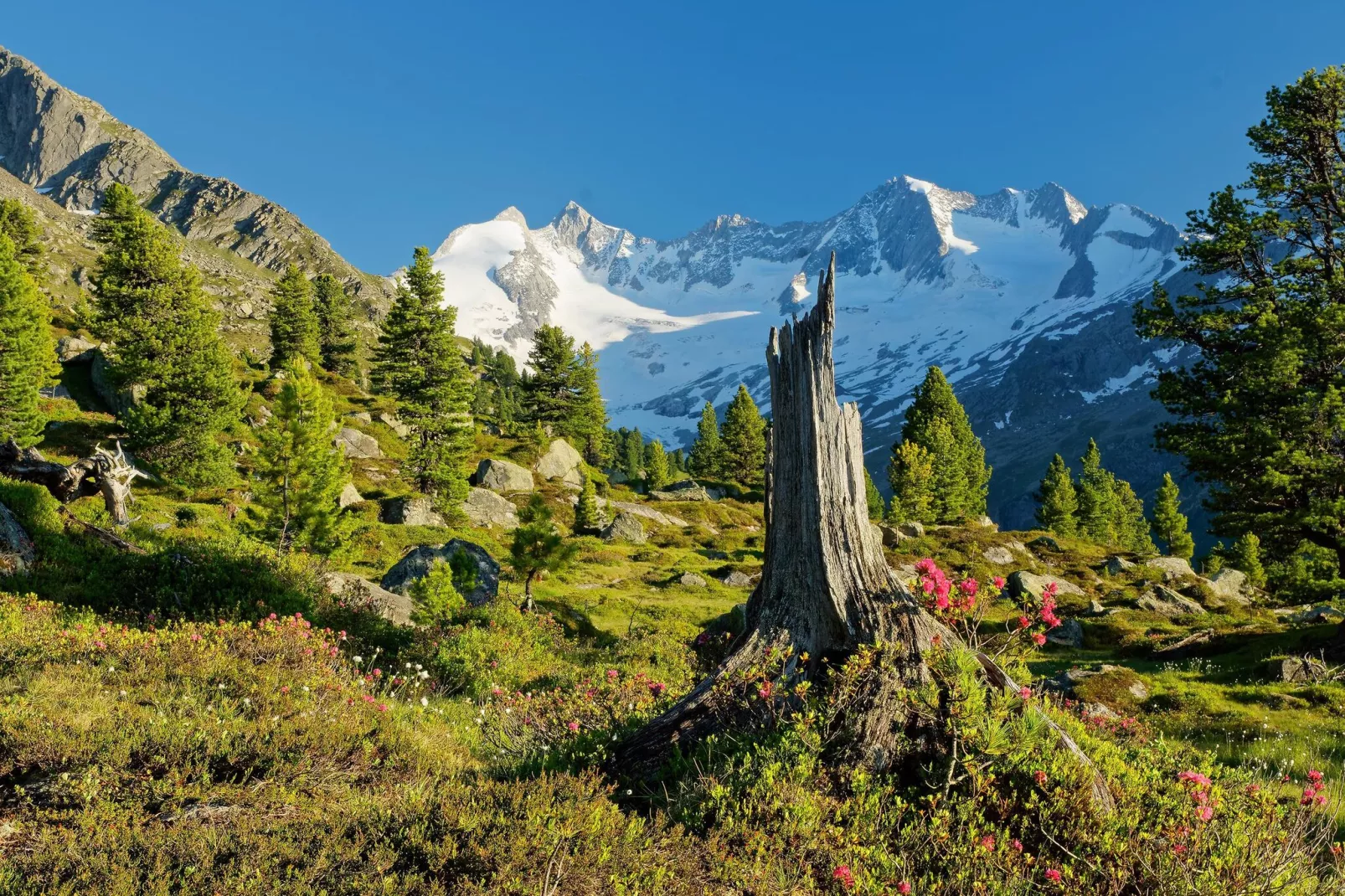 Doppelhaus Hochkrimml 182A - Areas within 5km in summer