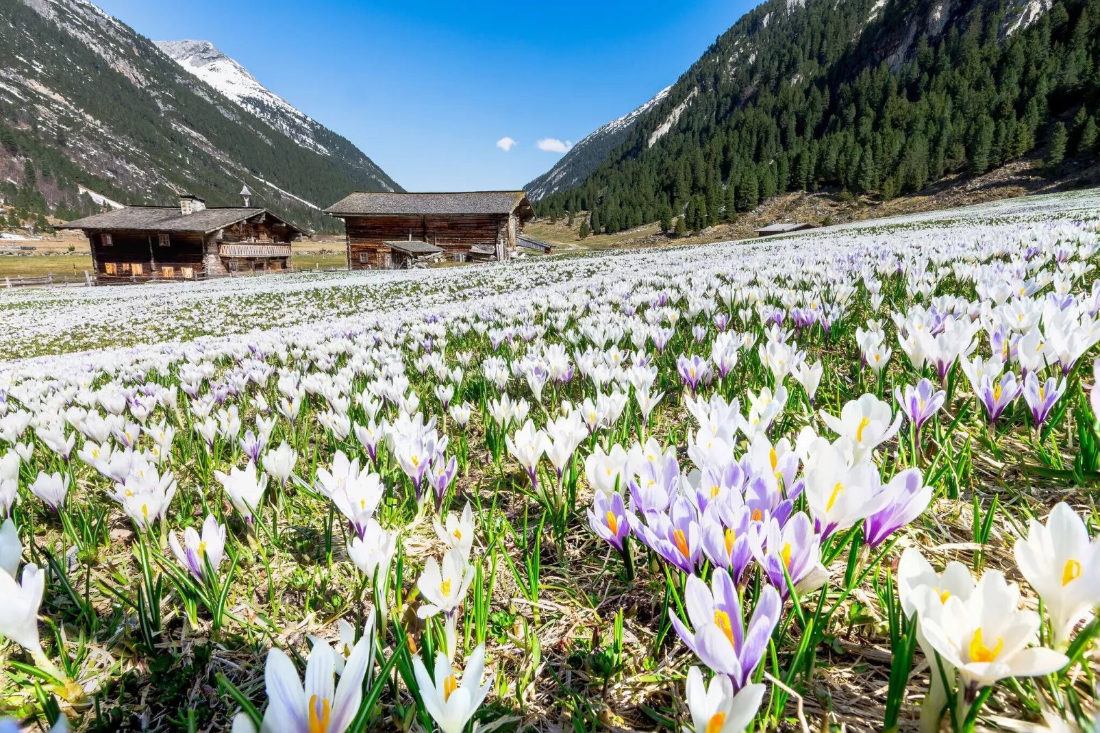 Doppelhaus Hochkrimml 182A - Areas within 5km in summer