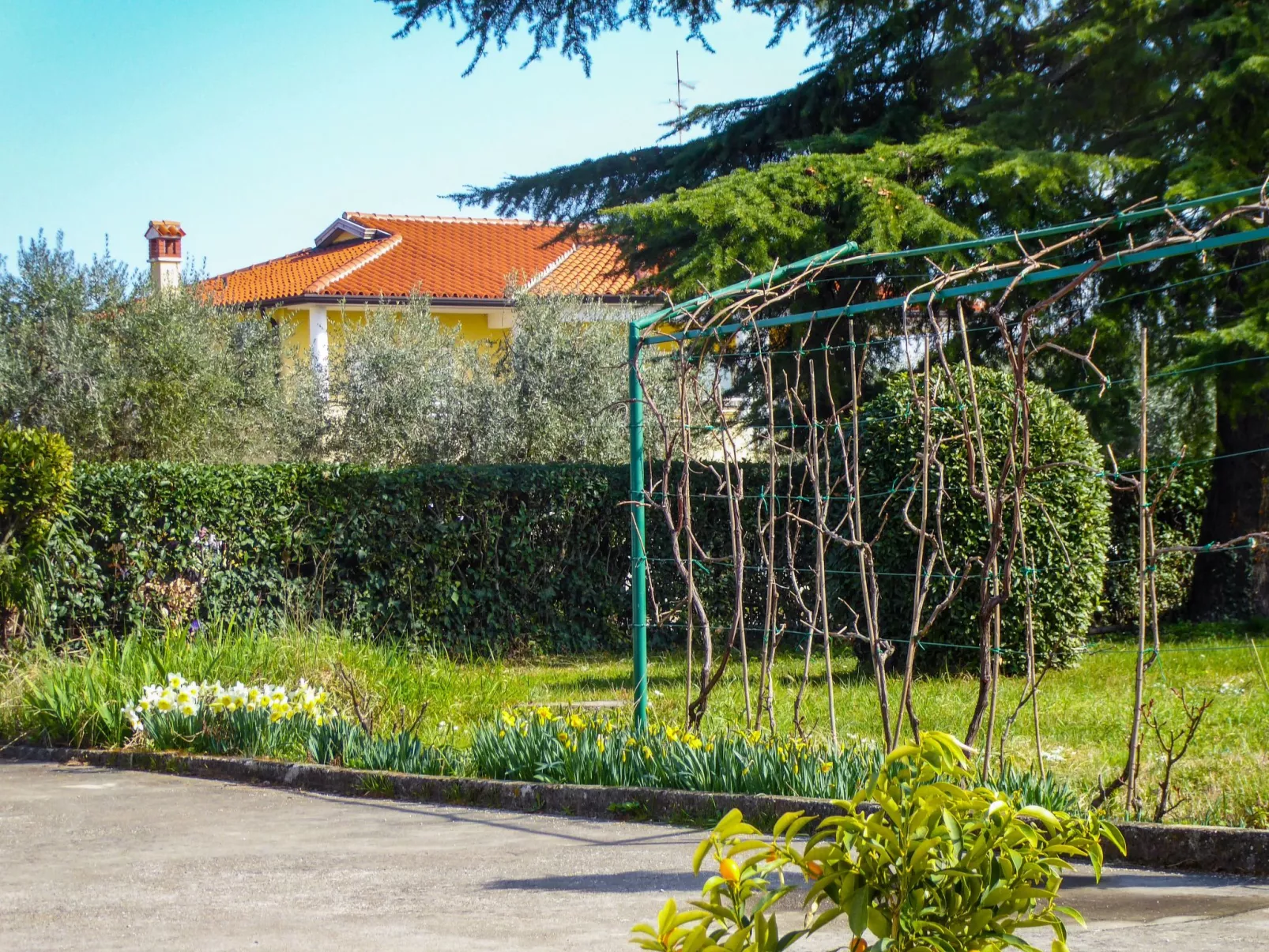 Wohnung Valerija-Drinnen