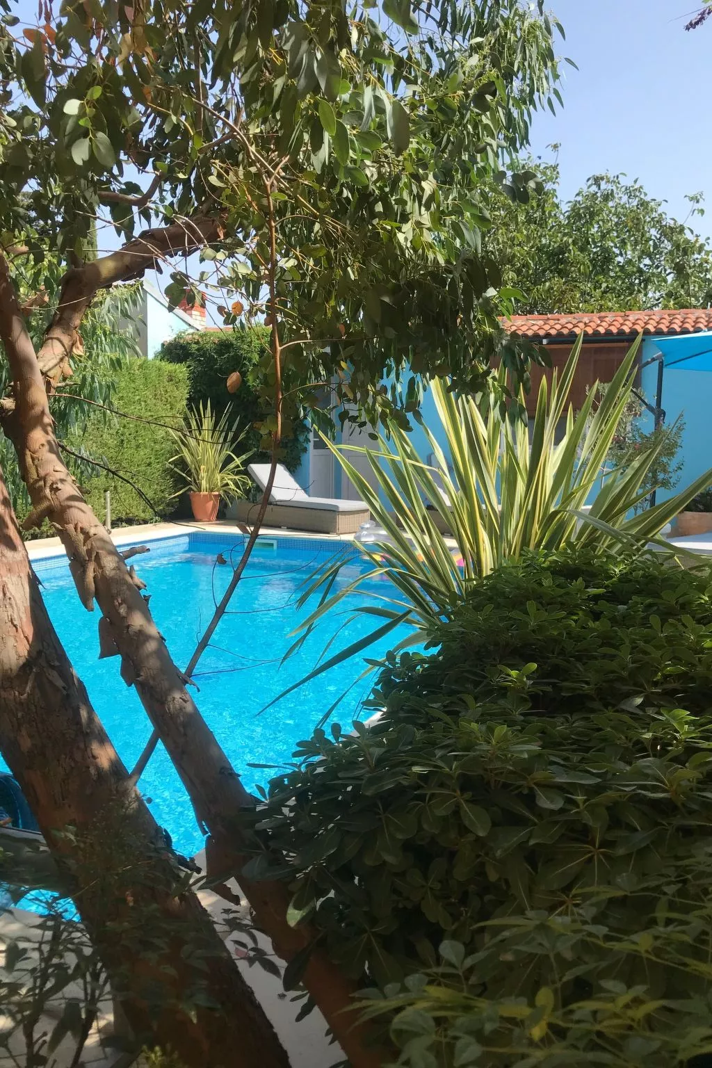 Elegantes Familienappartement mit privatem Pool-Dehors