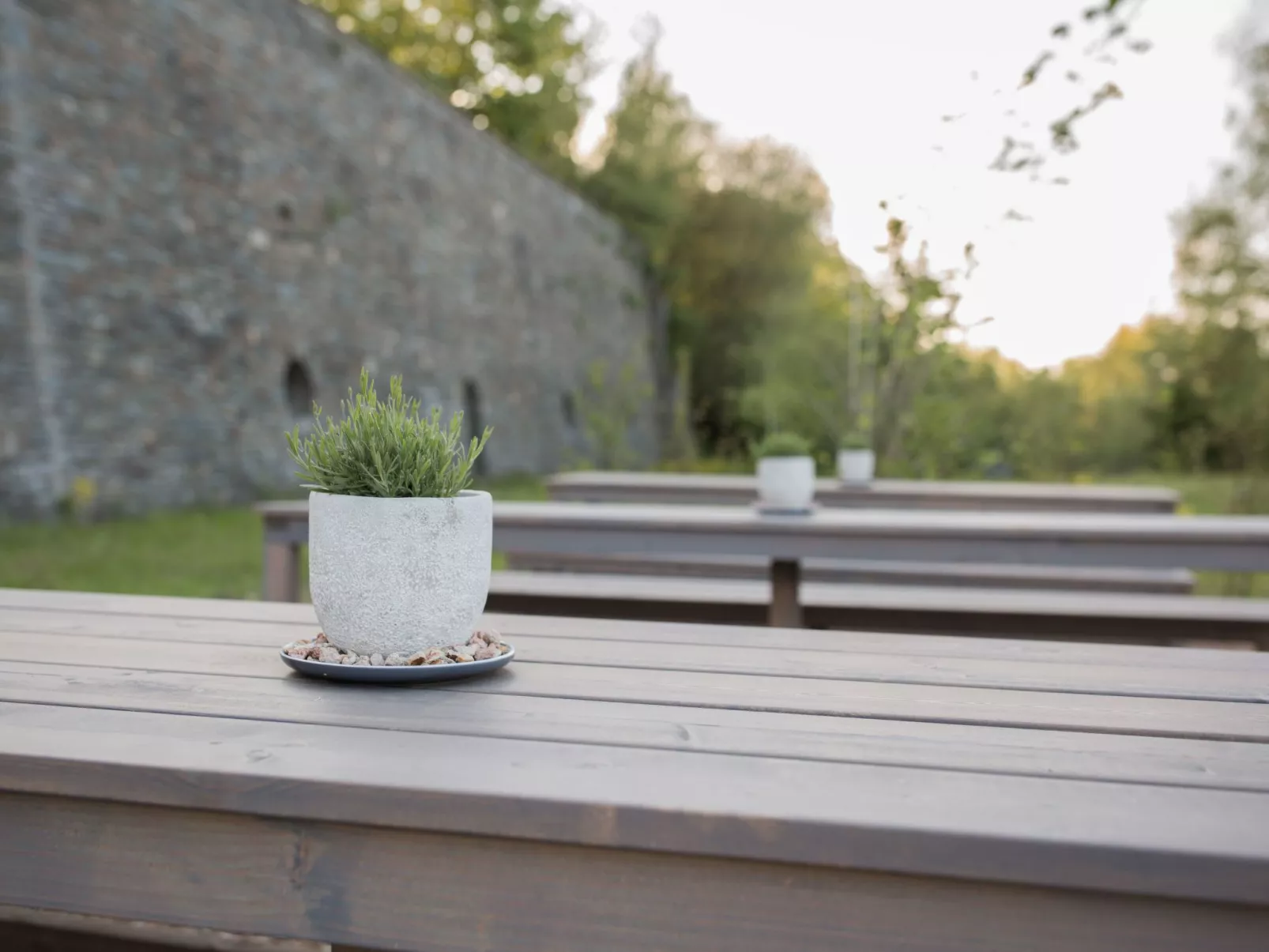 (VII) Cabin Cozy-Outside