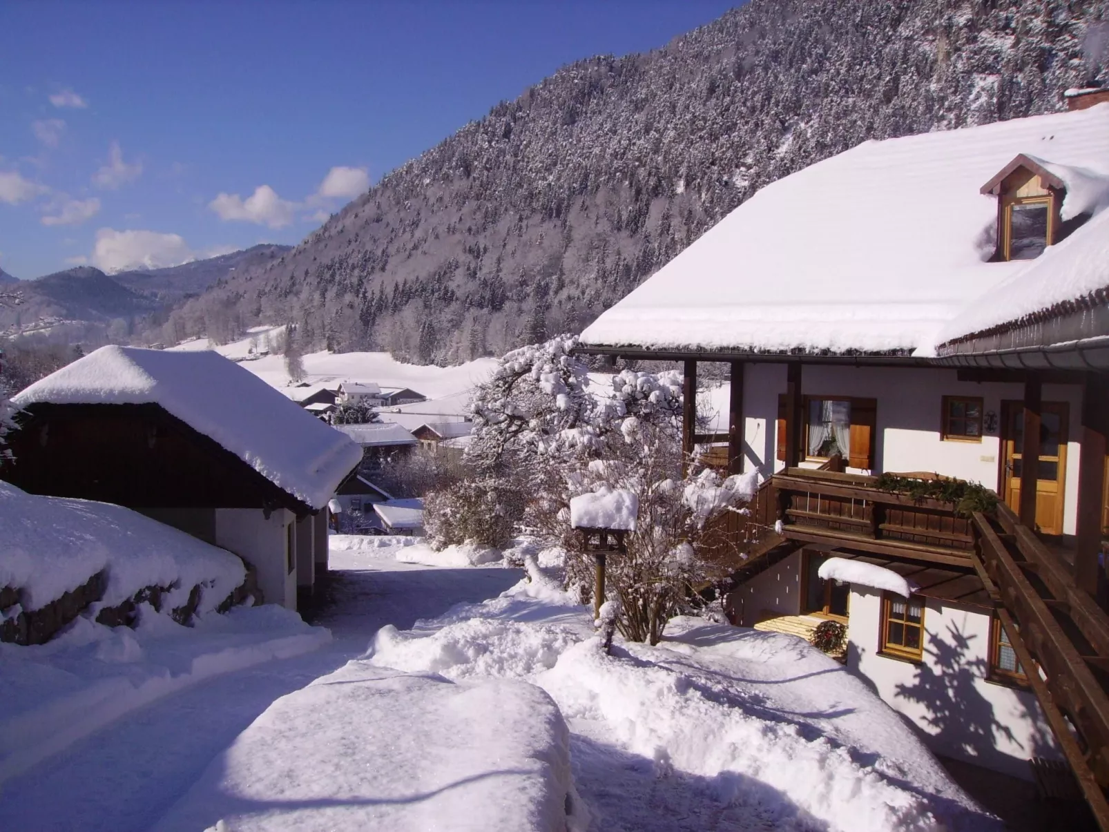 Wohnung in Berchtesgaden mit Garten-Drinnen