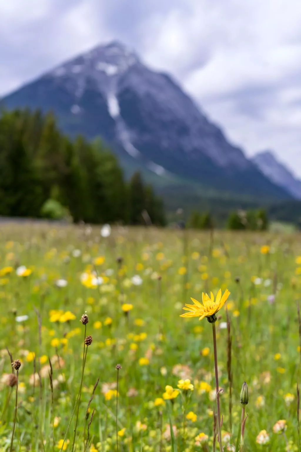 Appartement "Glücksmomente"-Draußen