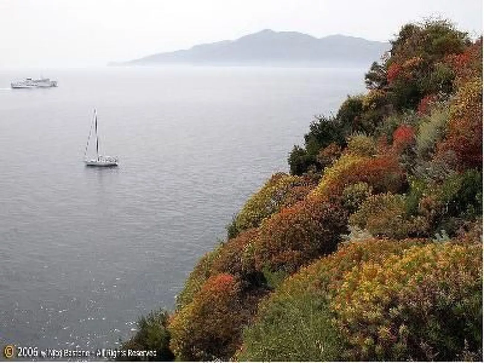 Granatapfel-Wohnung-Image-tags.info