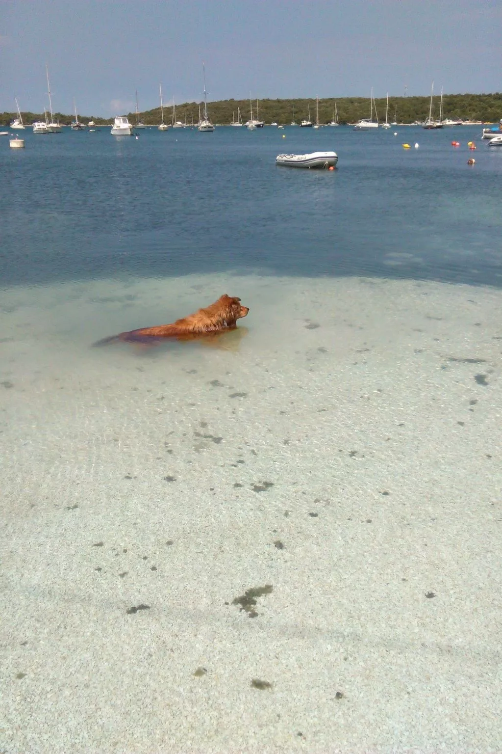 "Stefanija"-Image-tags.info