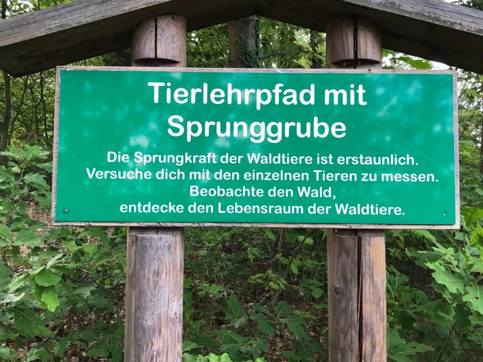 Wohnung mit möblierter Terrasse - barrierefrei-Drinnen