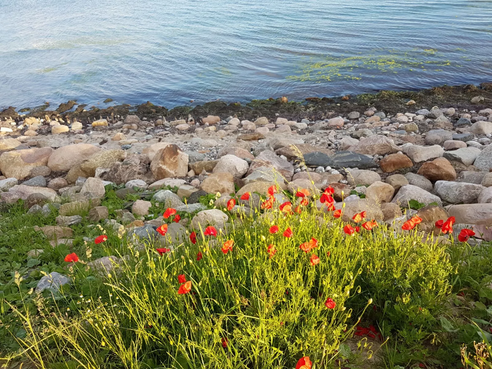 Portals Vells - Outside