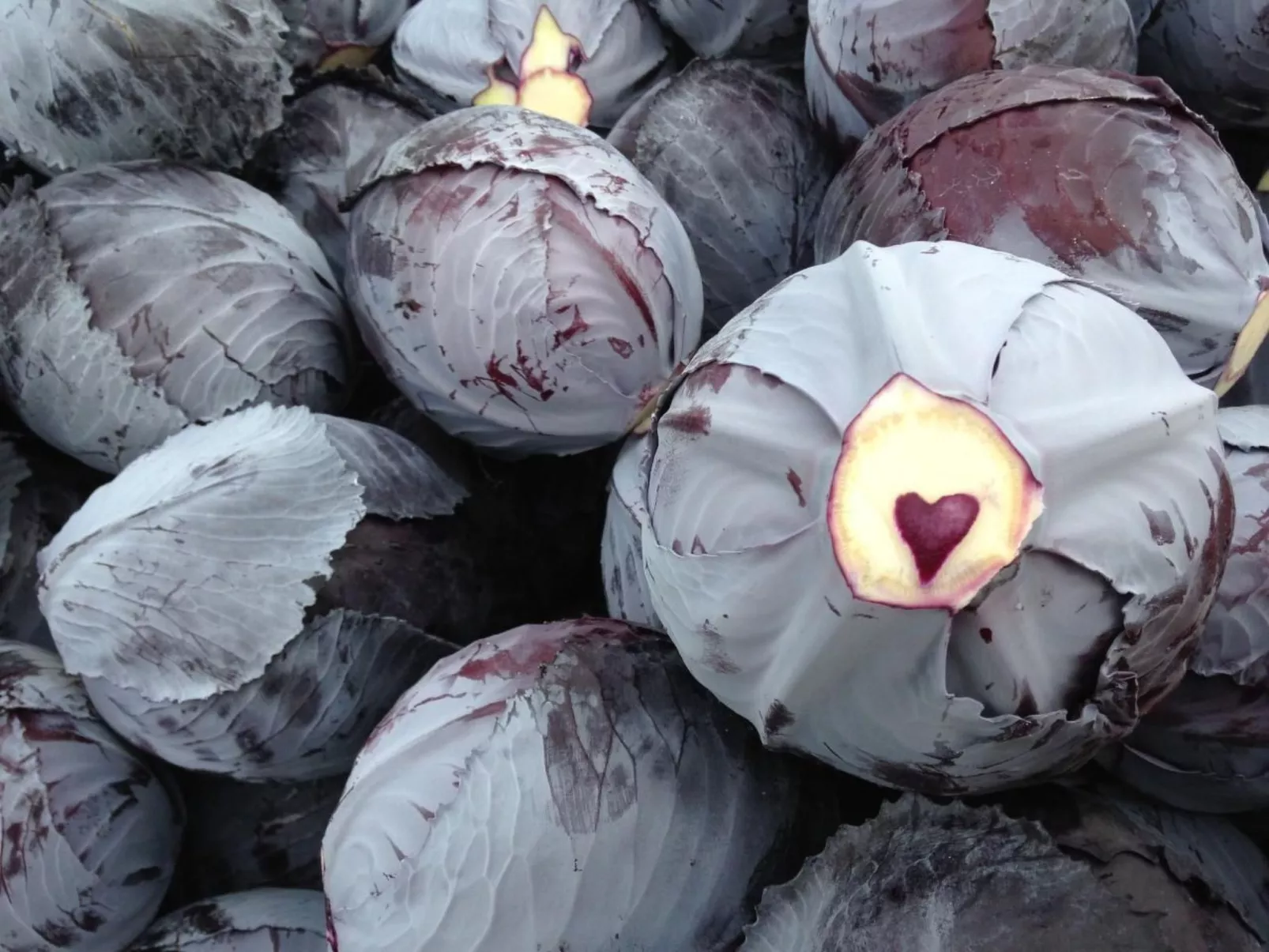 Alter Kuhstall-Dedans