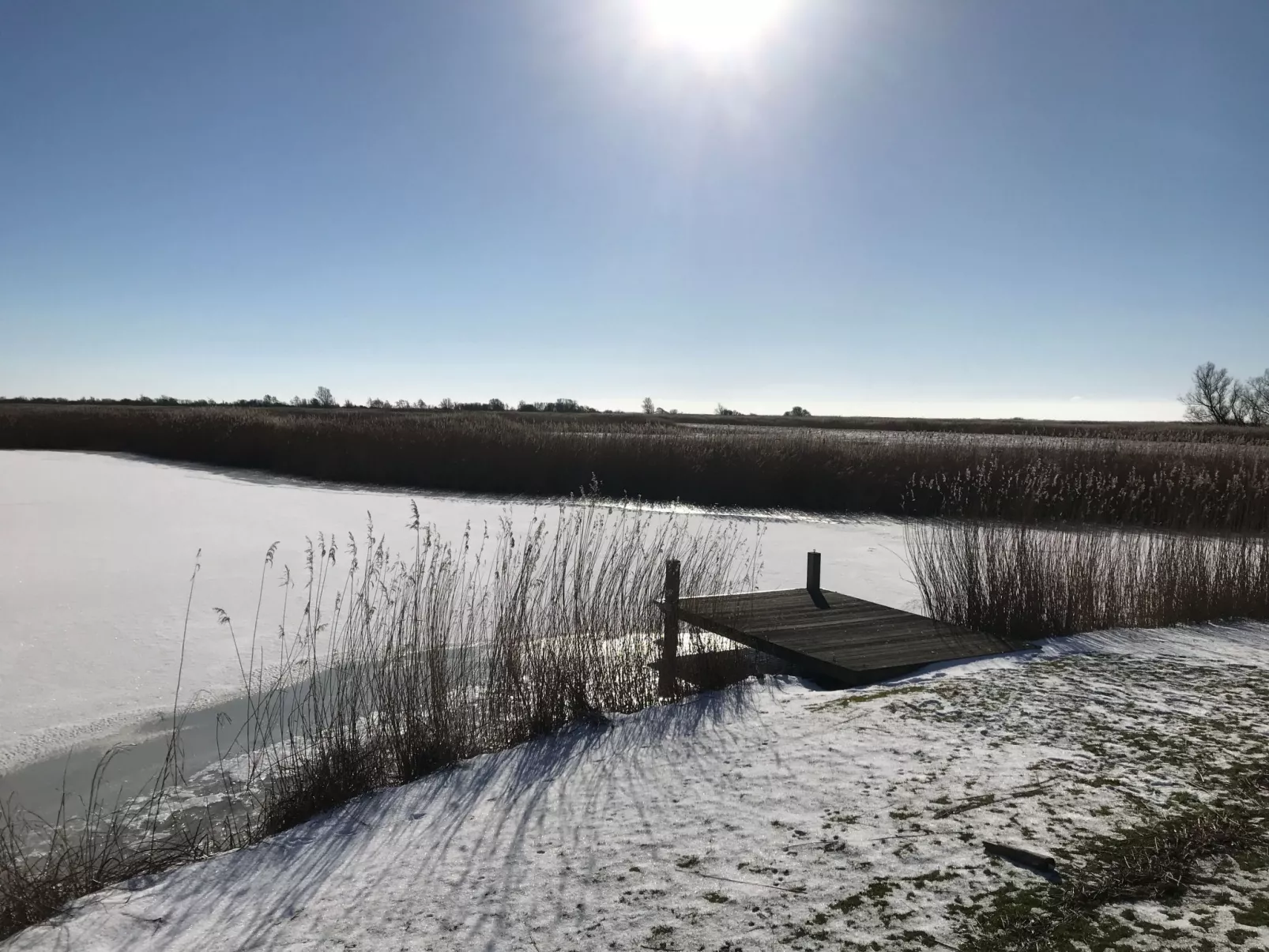 Starvilla in Makkum mit Sauna und schöner Aussicht-Draußen