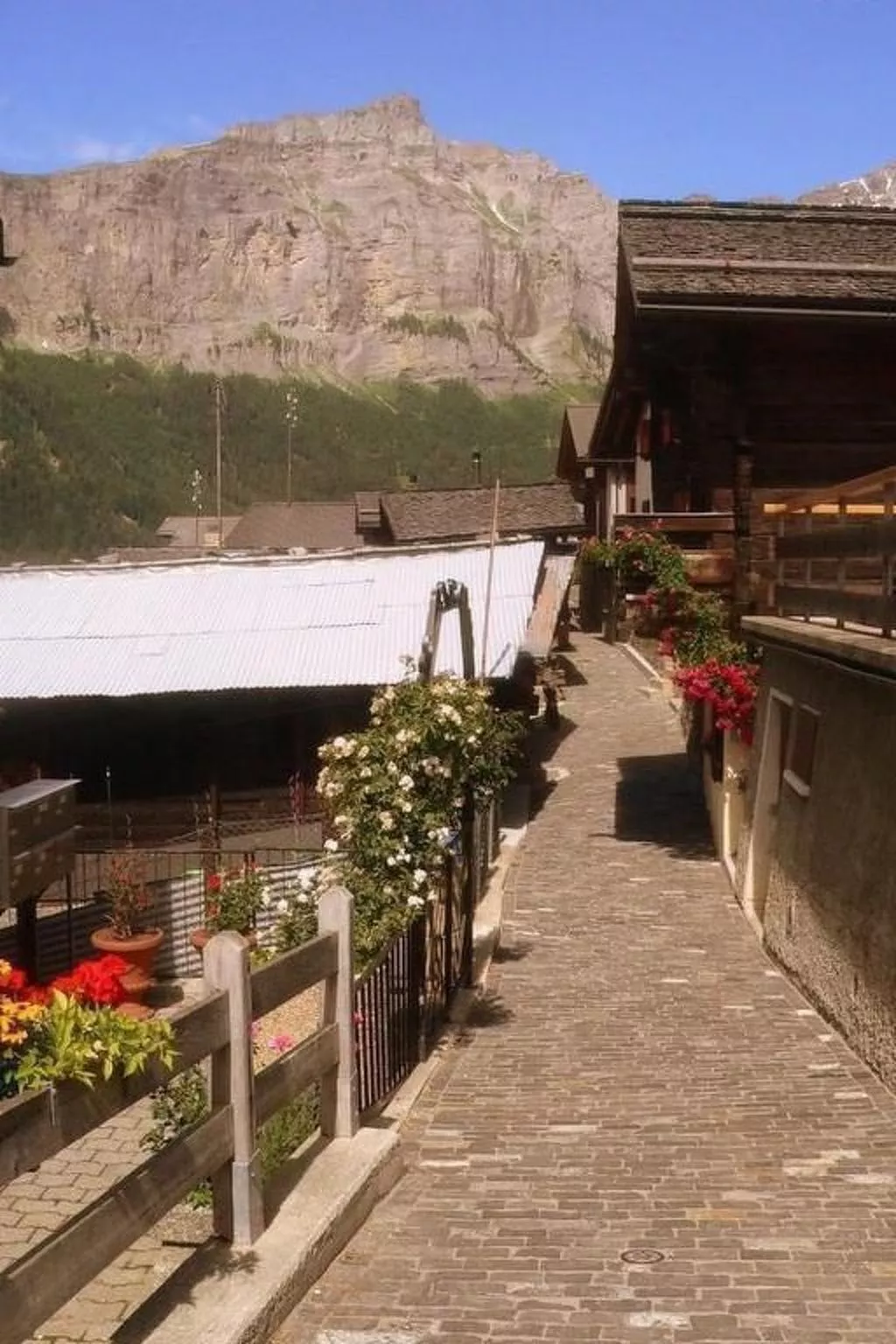 Chalet Angelika-Inside