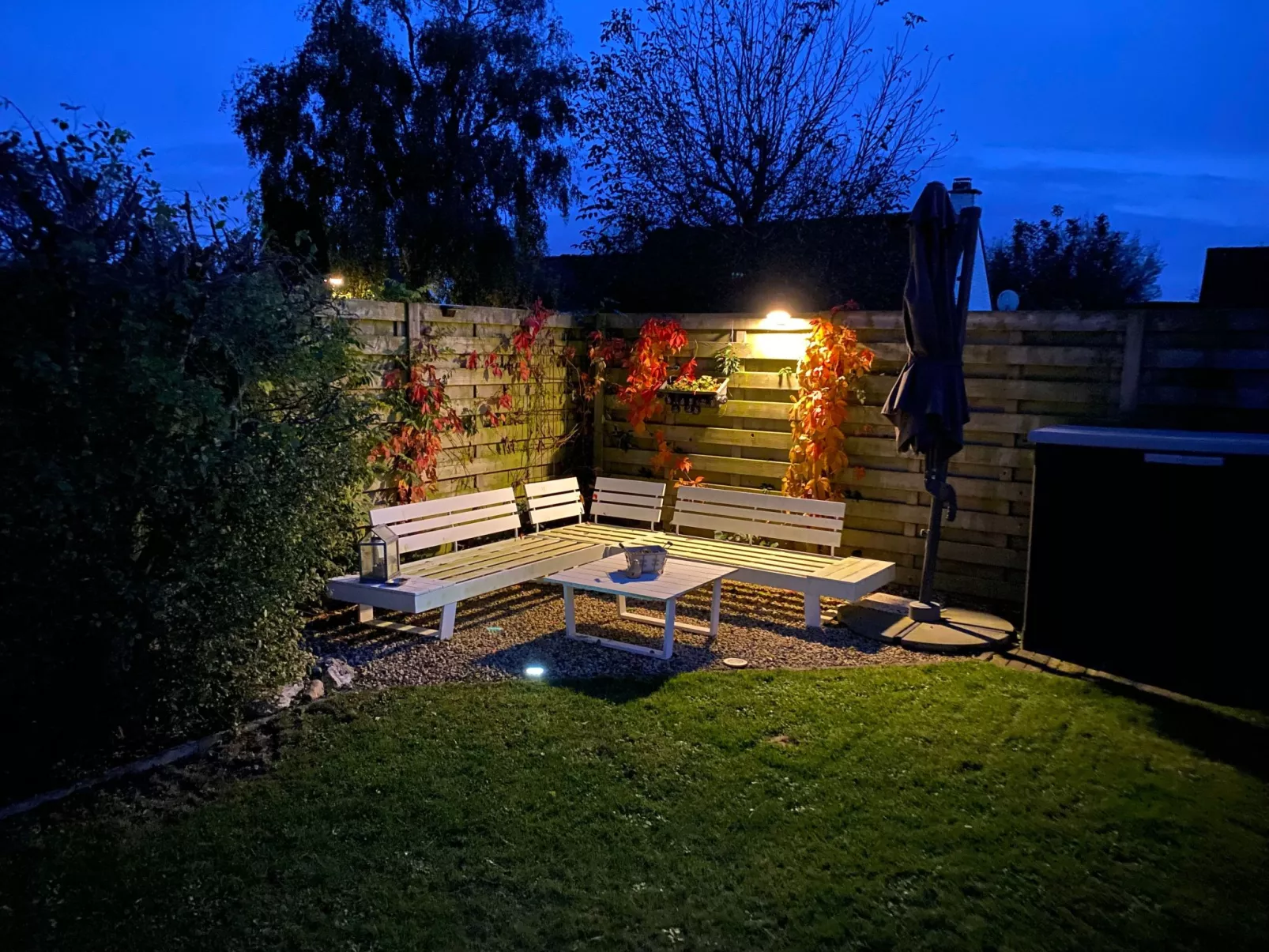 Zonneweelde bei Dünen und Wald-Outside