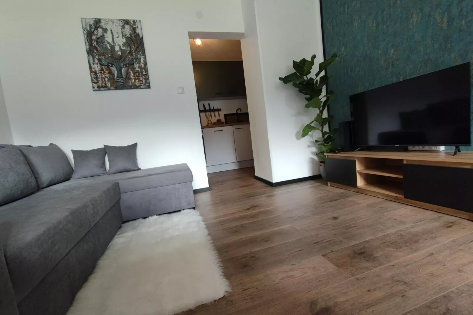 Apart Berglust-Living room