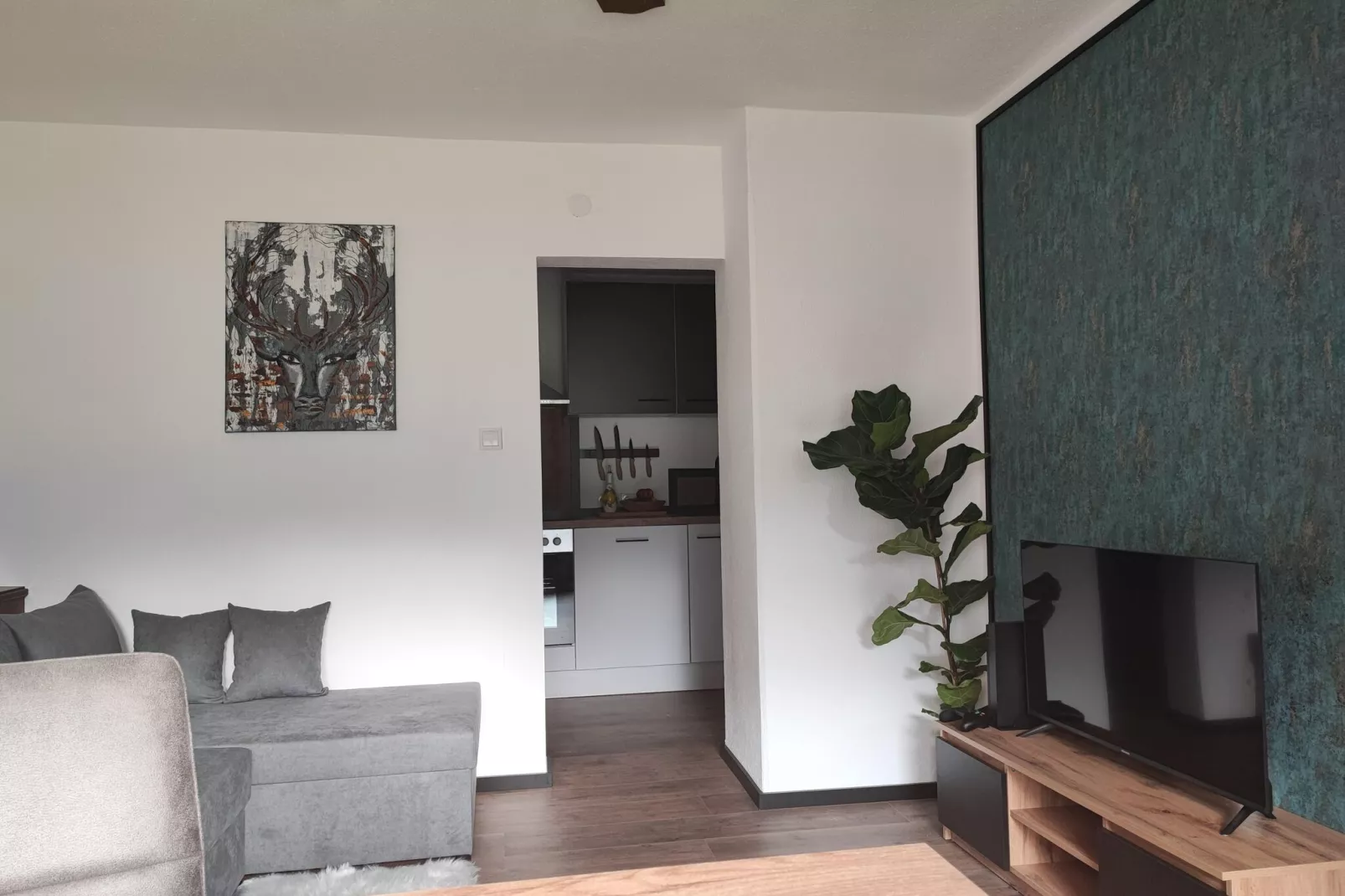 Apart Berglust-Living room