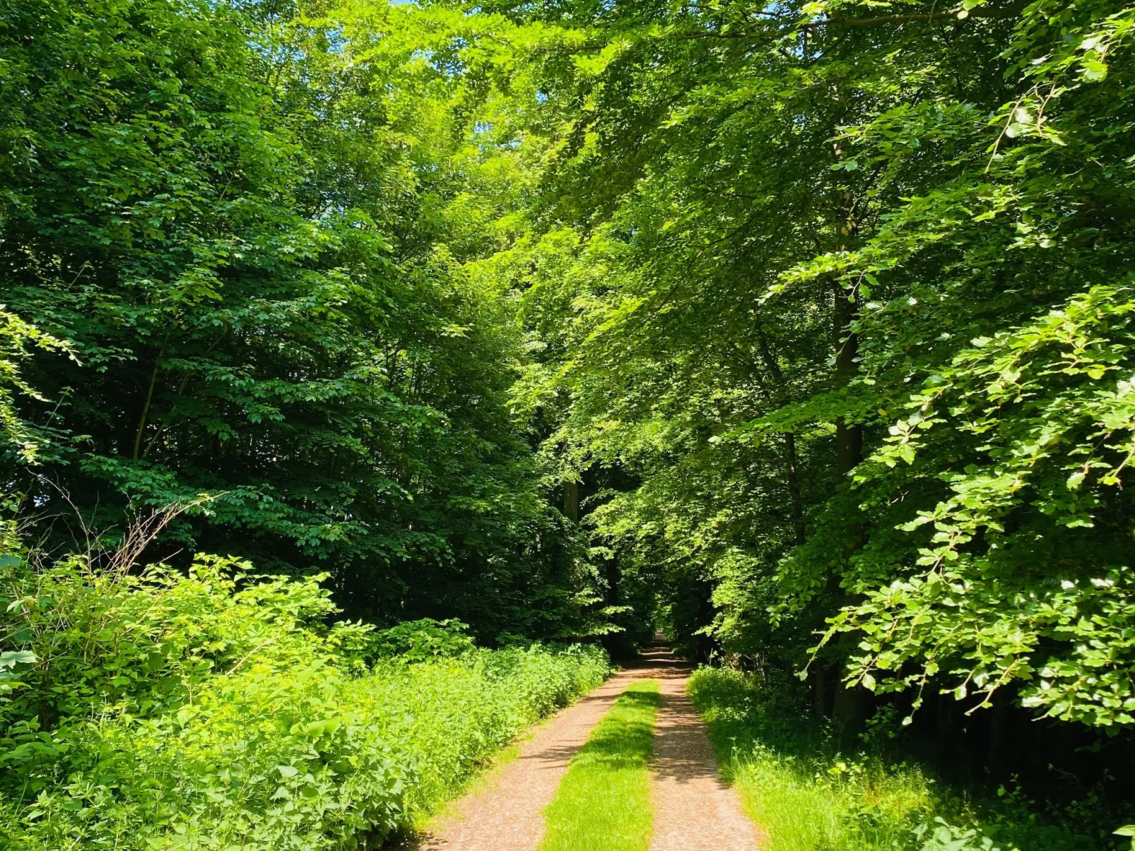 Bungalow Waldglück-Outside