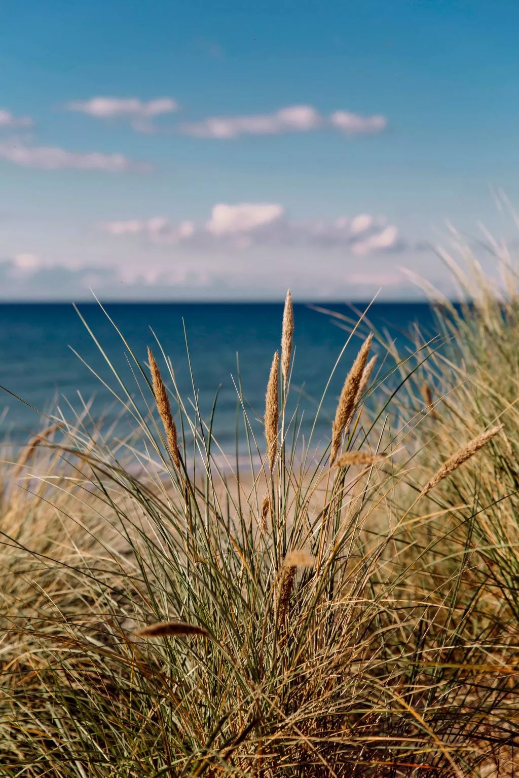 Admiral's Corner Lee-Dedans