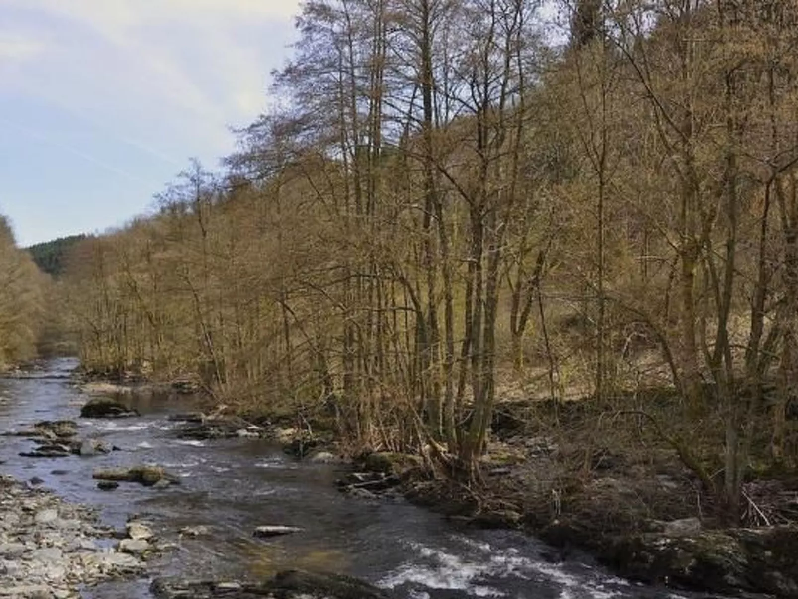 Mit Bergblick-Dedans