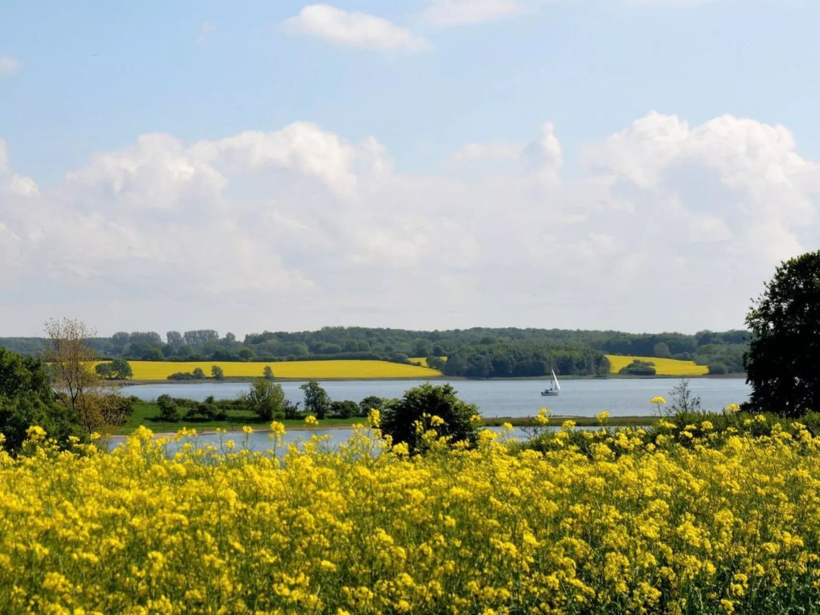 'Heile Welt' bei Maasholm - Draußen