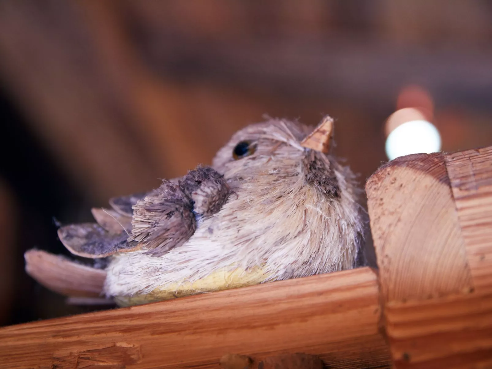 Im Almdorf in Flachau-Image-tags.info