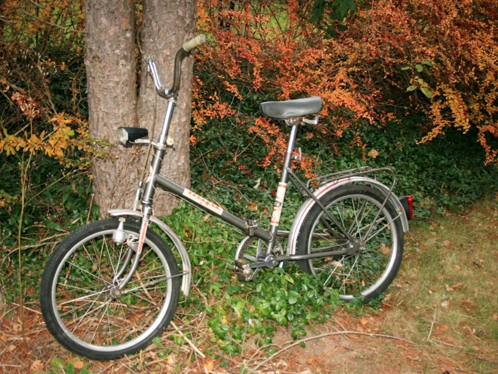 Familienfreundliches Ferienhaus mit großem Garten-Dehors