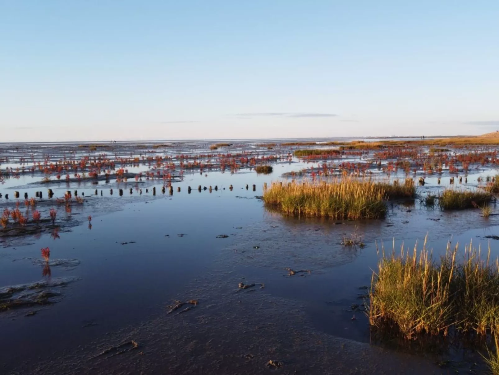 FeWo Austernfischer-Drinnen