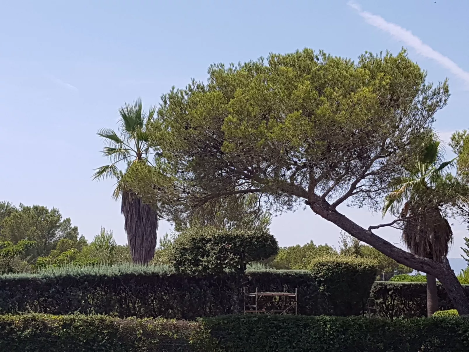 Die Sonne der Côte d'Azur-Inside