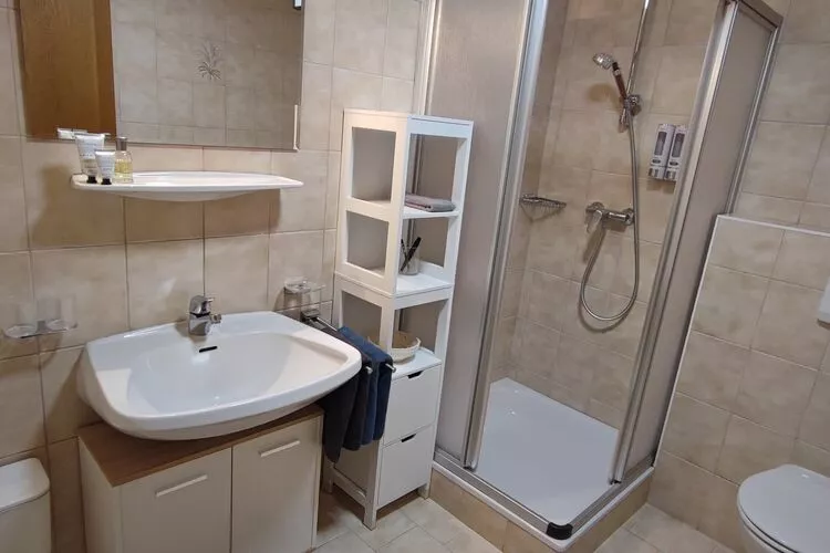 Apart Berglust-Bathroom