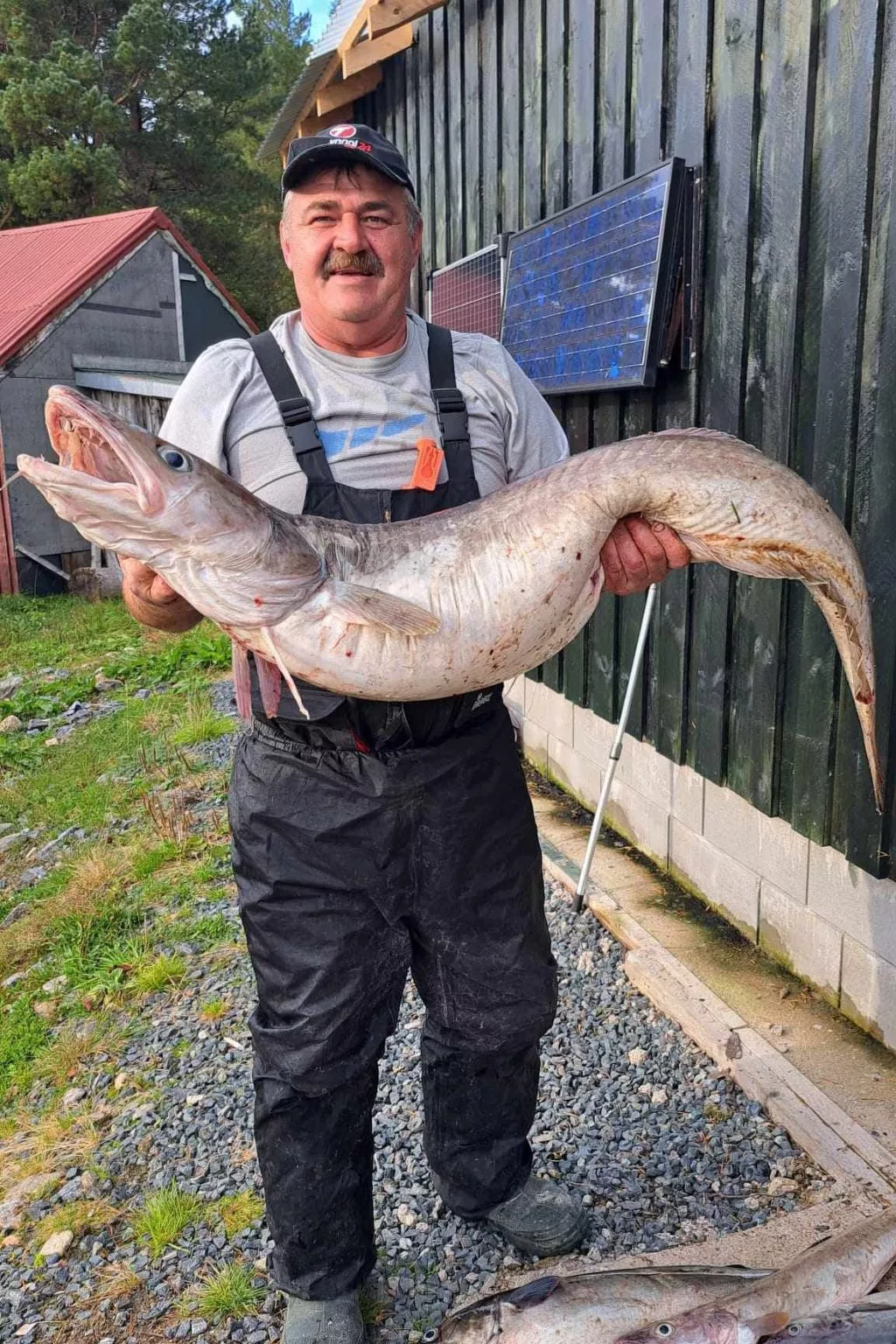 Stabben Blue House-Dedans