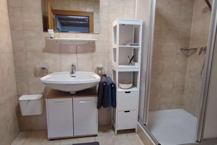 Apart Berglust-Bathroom
