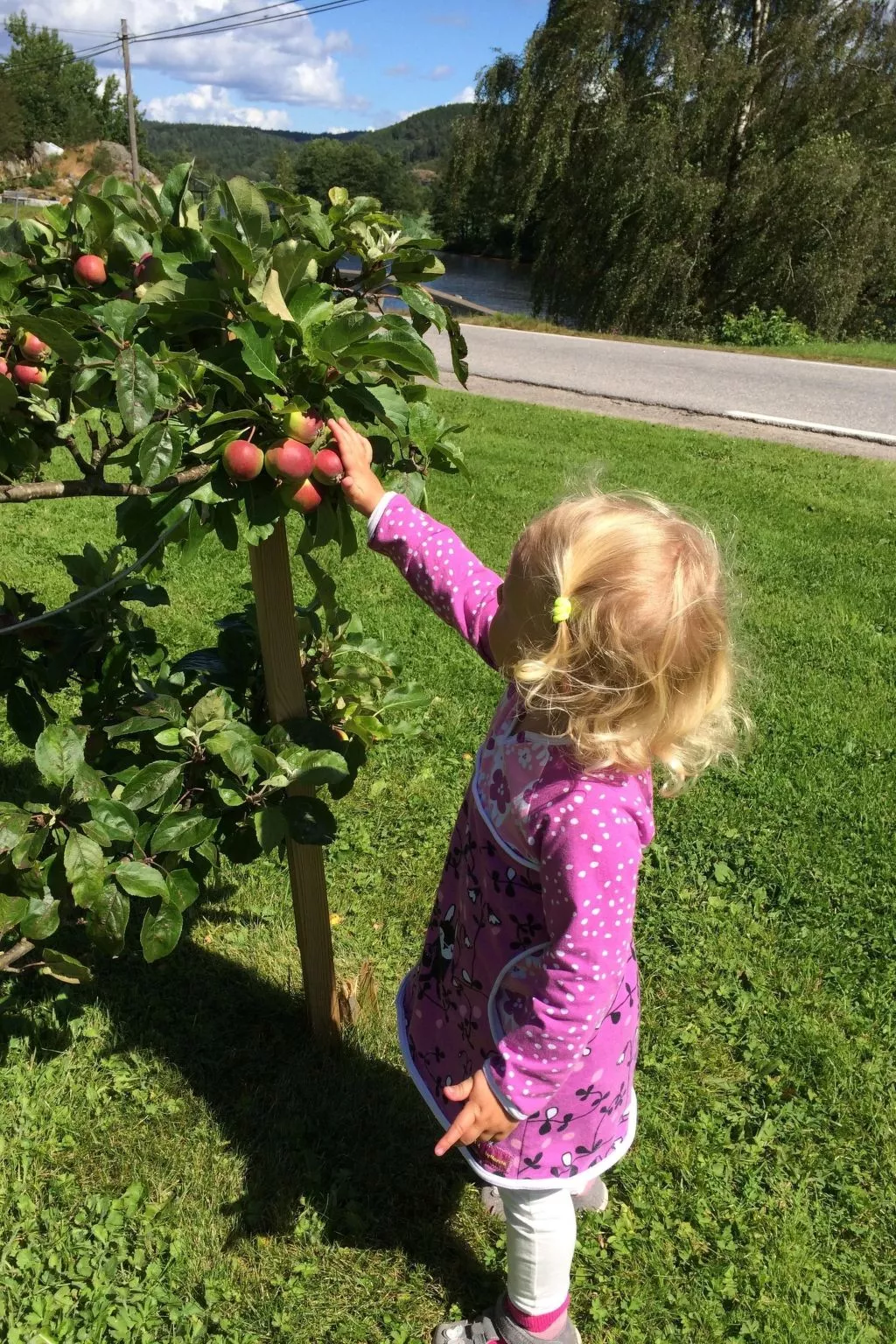 Mit Blick auf das Wasser-Image-tags.info