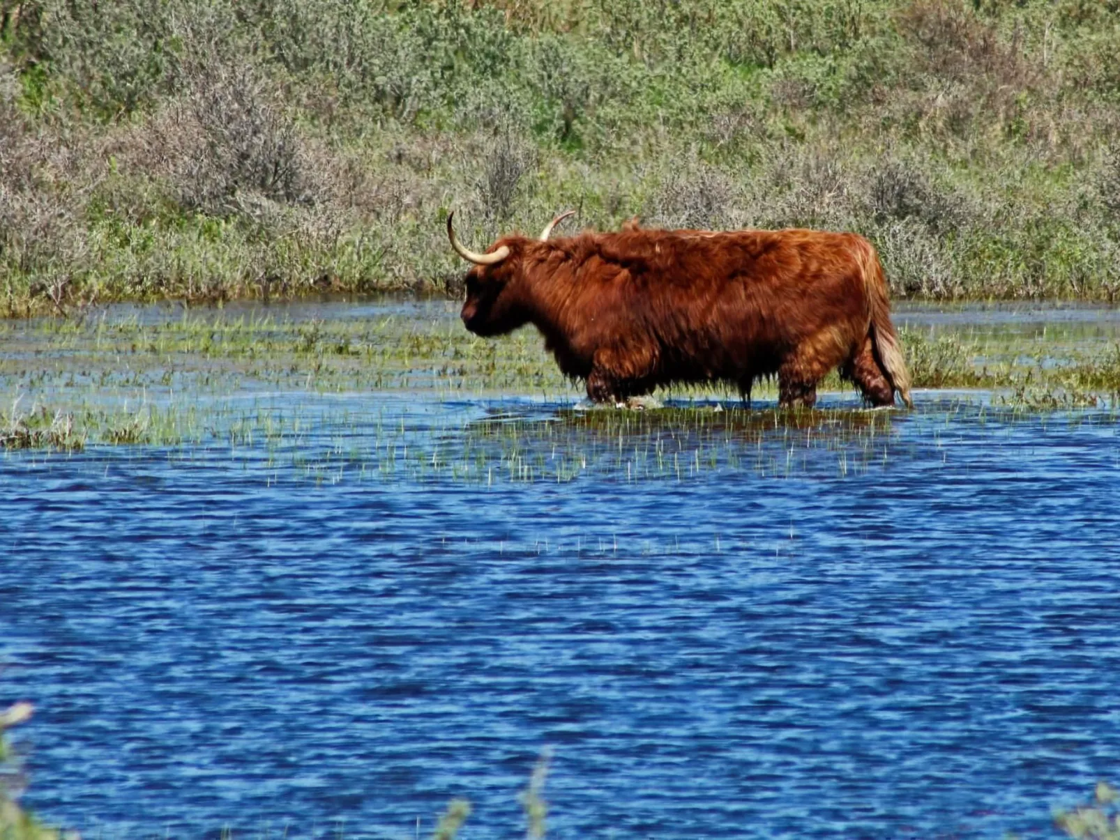 "Windhoos" mit privatem Garten und Terrasse-Outside