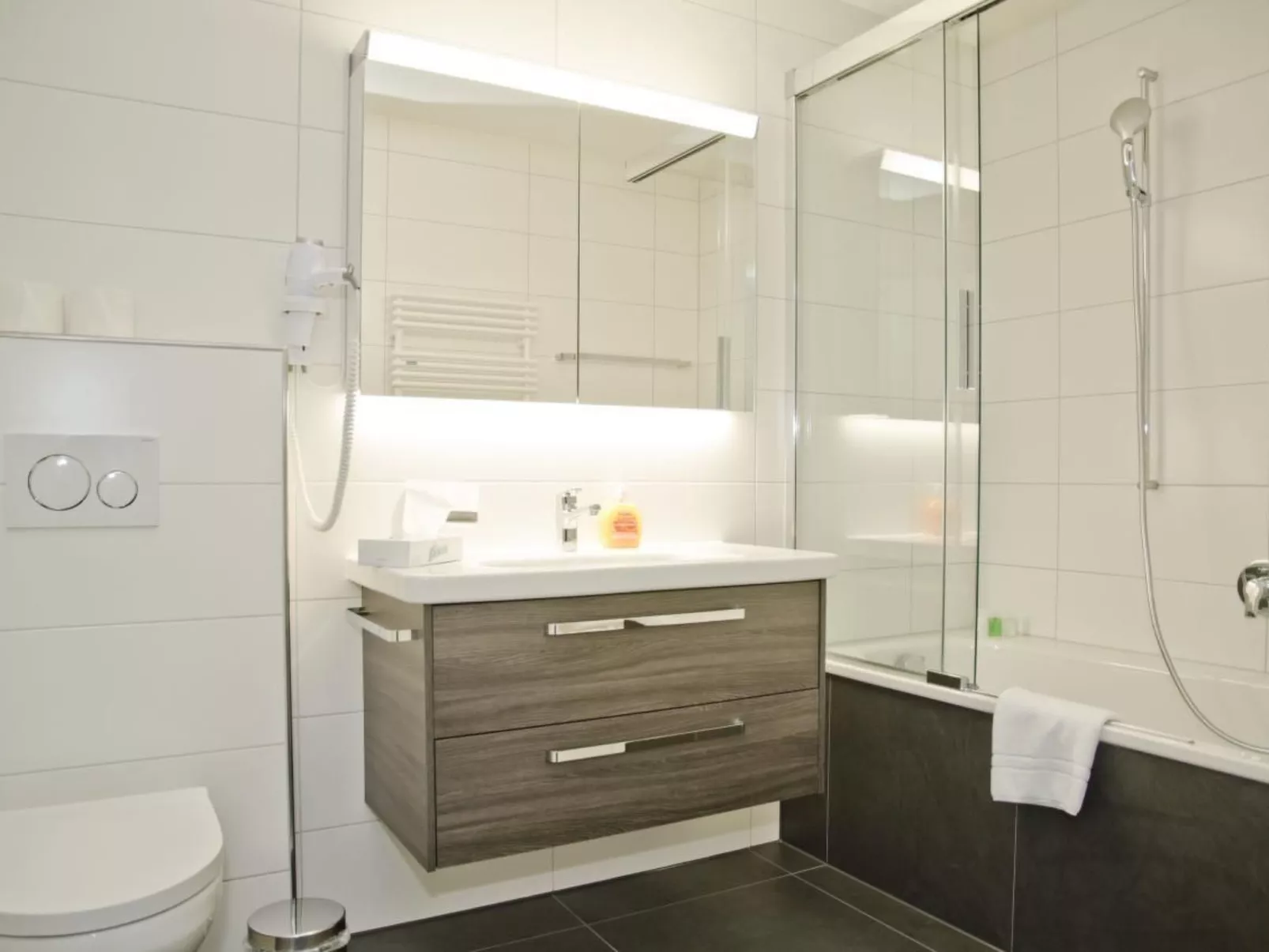 Apartment Alperose-Dedans