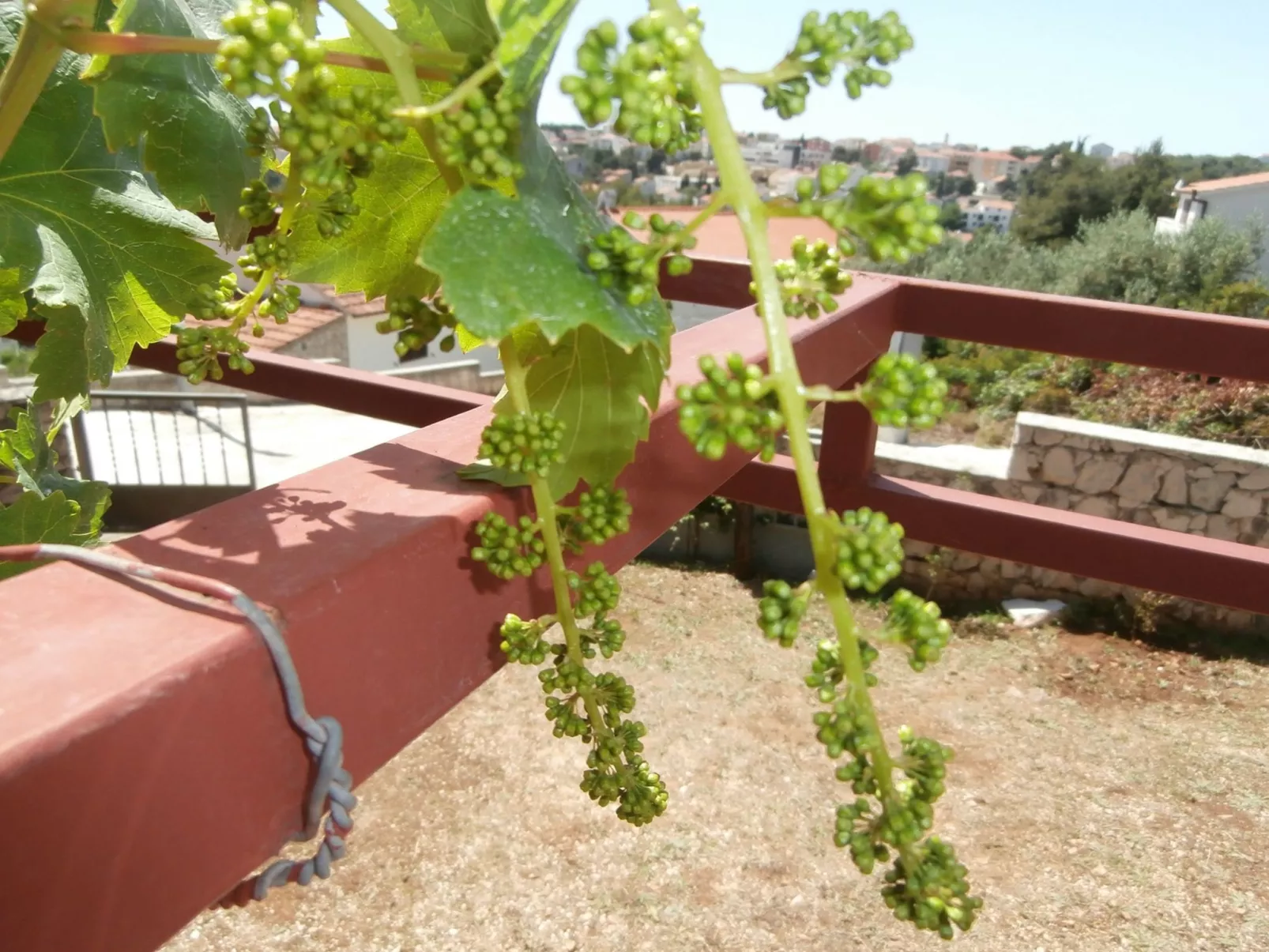 Wohnung mit Balkon und Meerblick-Drinnen
