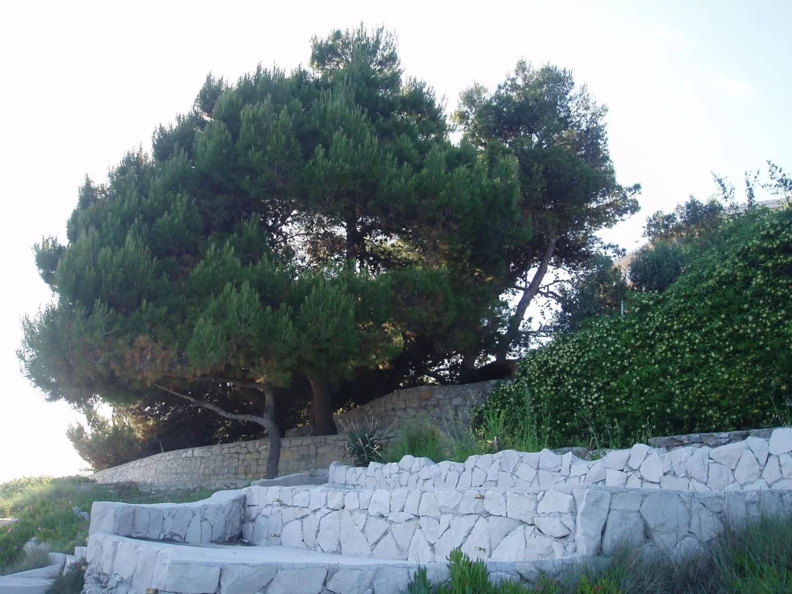 Mit Balkon und herrlichem Meerblick-Outside