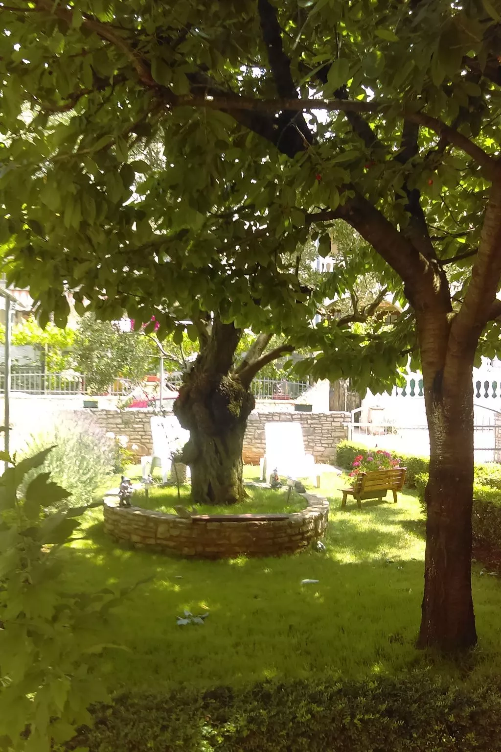 Studio mit Miniküche-Image-tags.info