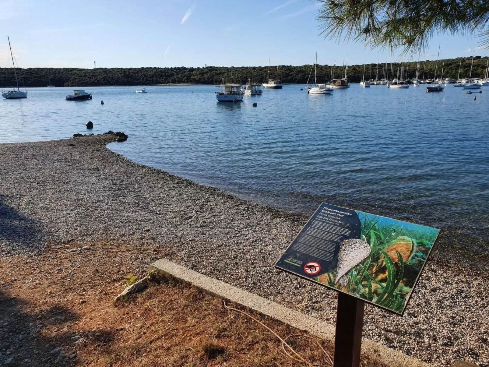 Schönes Apartment in Banjole mit Terrasse-Dedans