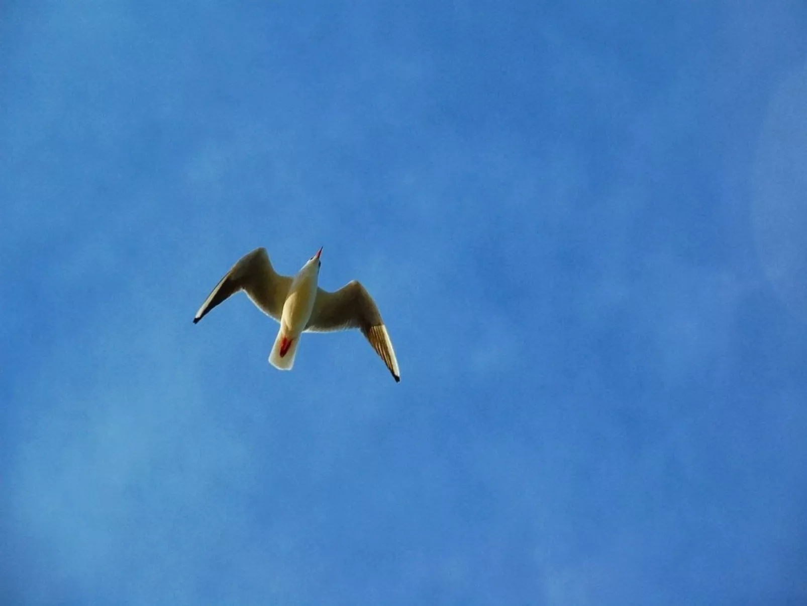 Villa Volksbank-Dehors