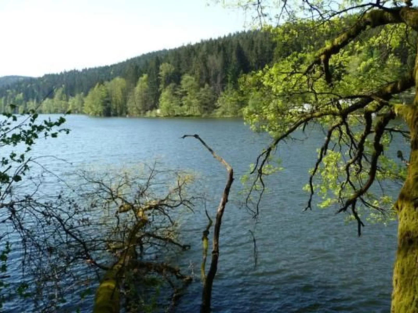 Haus " Fernblick "-Dehors