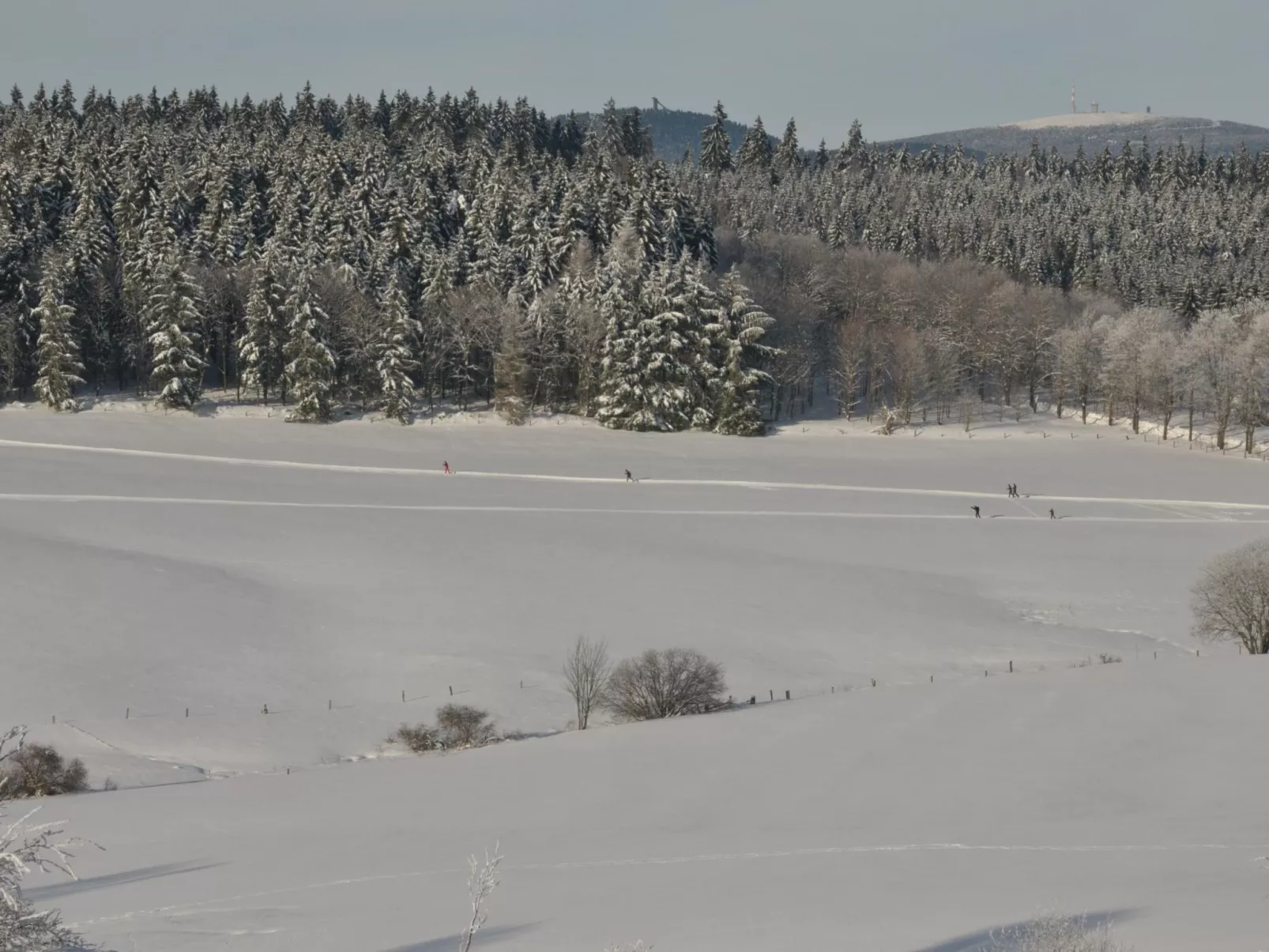 Mit Garten und Spielplatznutzung-Image-tags.info
