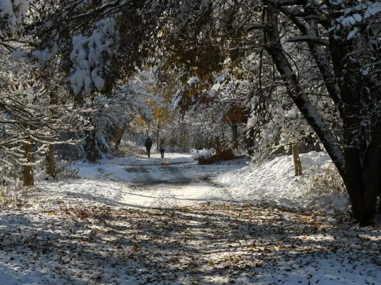 Große und moderne Ferienwohnung im Erdgeschoss-Outside