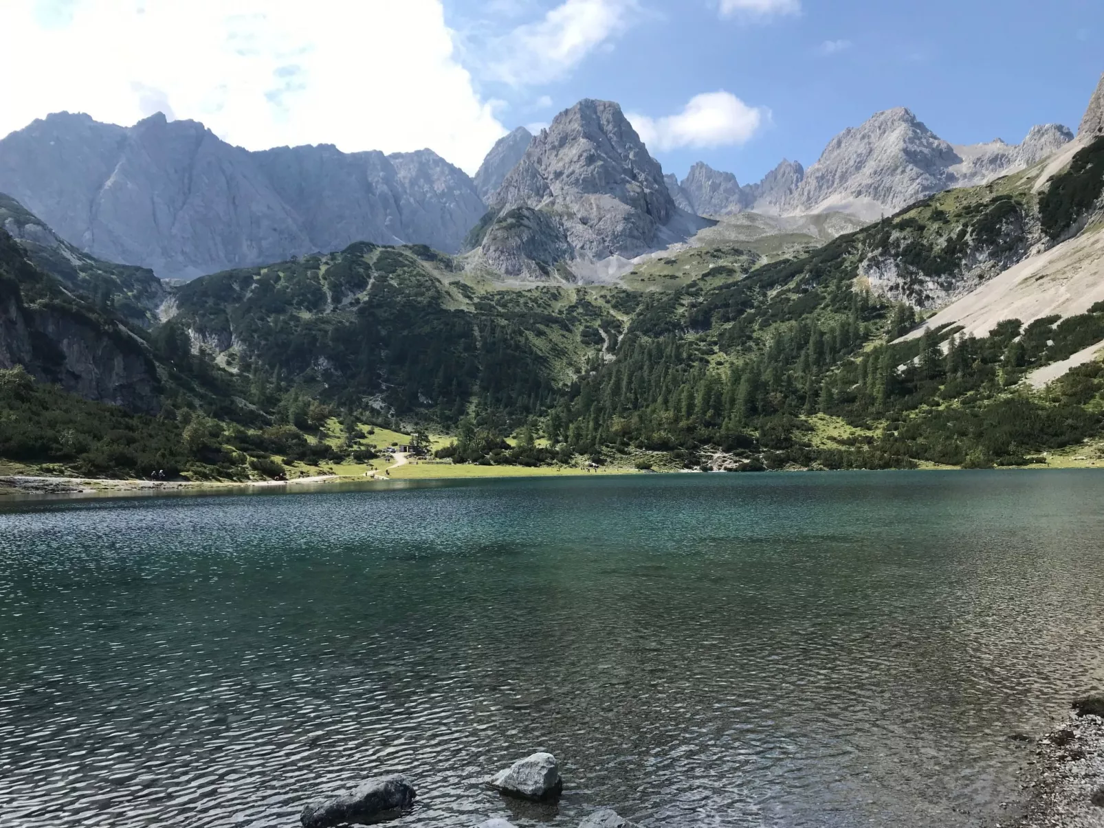 Pony-Ziegen-Hasen-Ranch in Bichlbach-Dedans