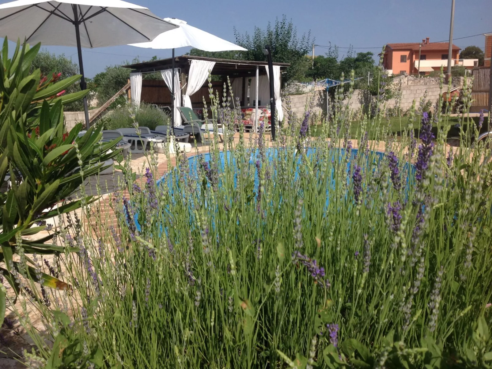 In Bratulići mit Privatem Pool-Dehors