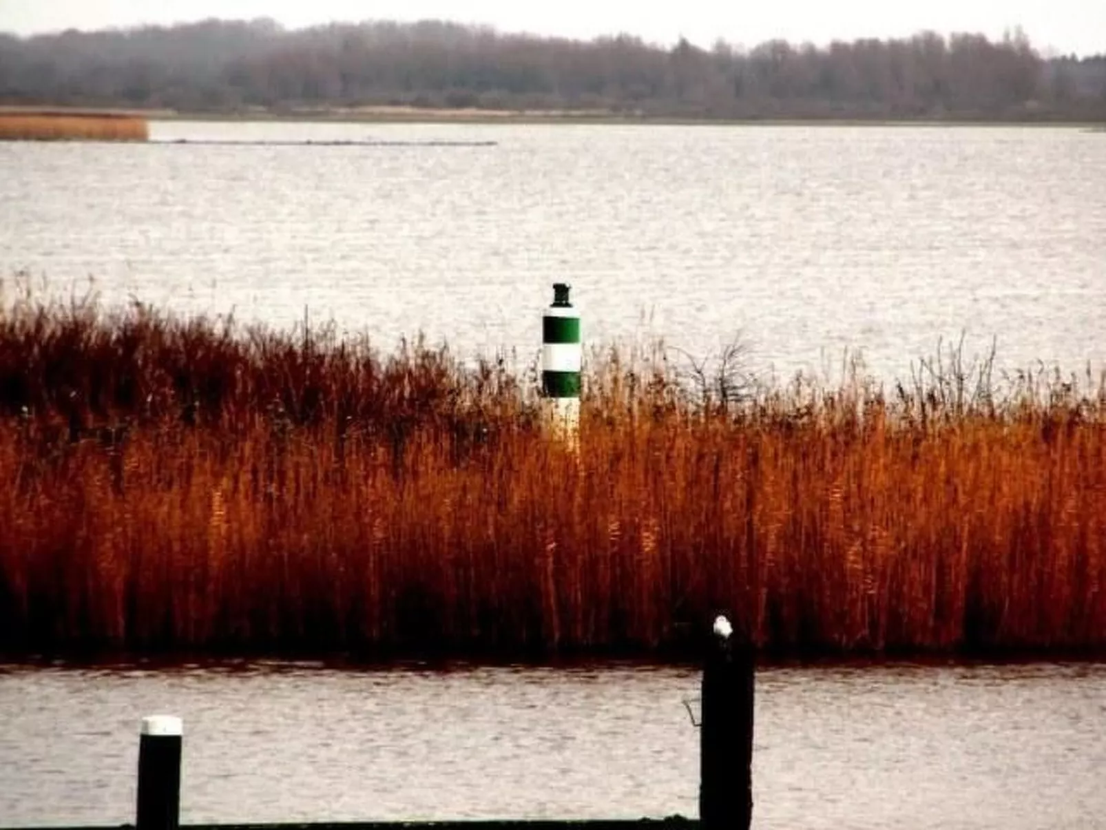 316 Nirvana-Draußen