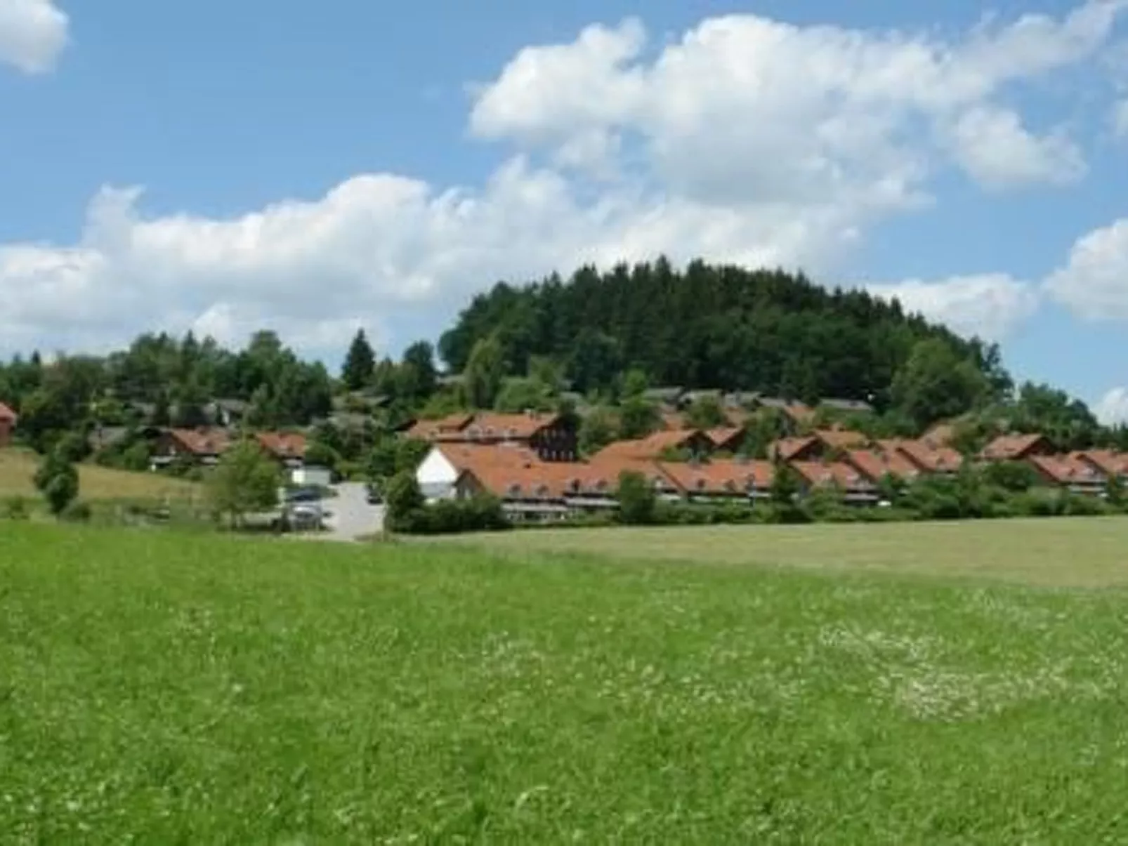 Gemütliche Wohnung in Zandt mit Möbliertem Balkon-Dedans
