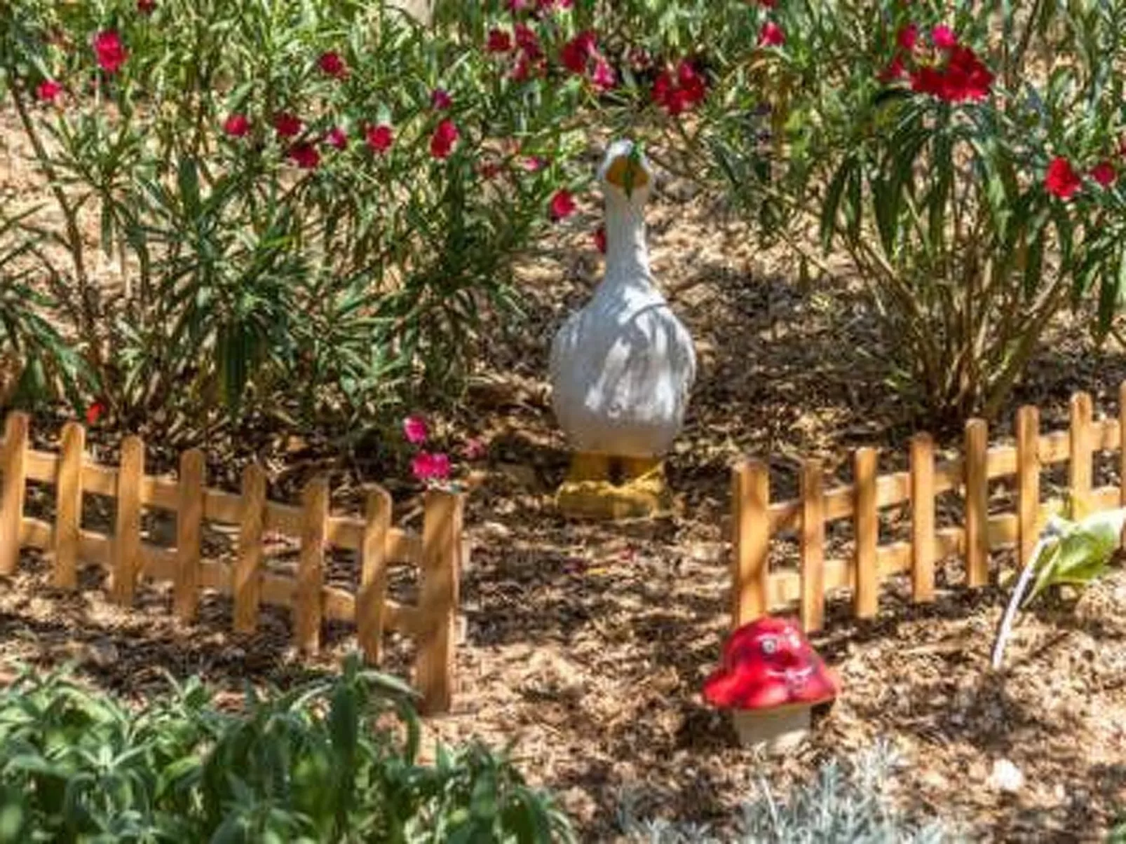 Hütte mit Garten, Grill und Terrasse-Inside