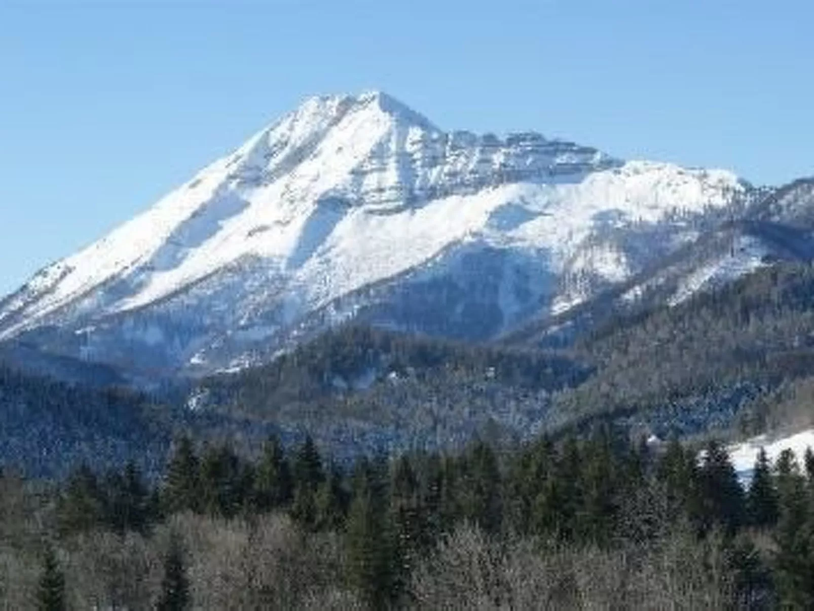 Haus König FEWO-Dedans