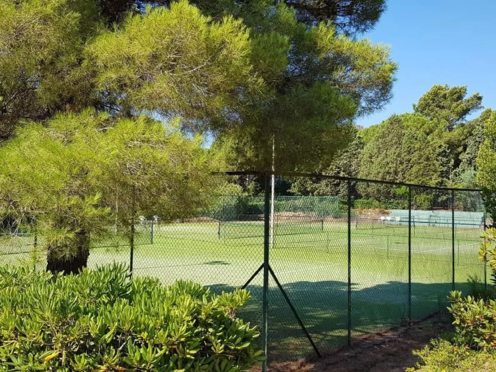 Mare e Pineta-Drinnen