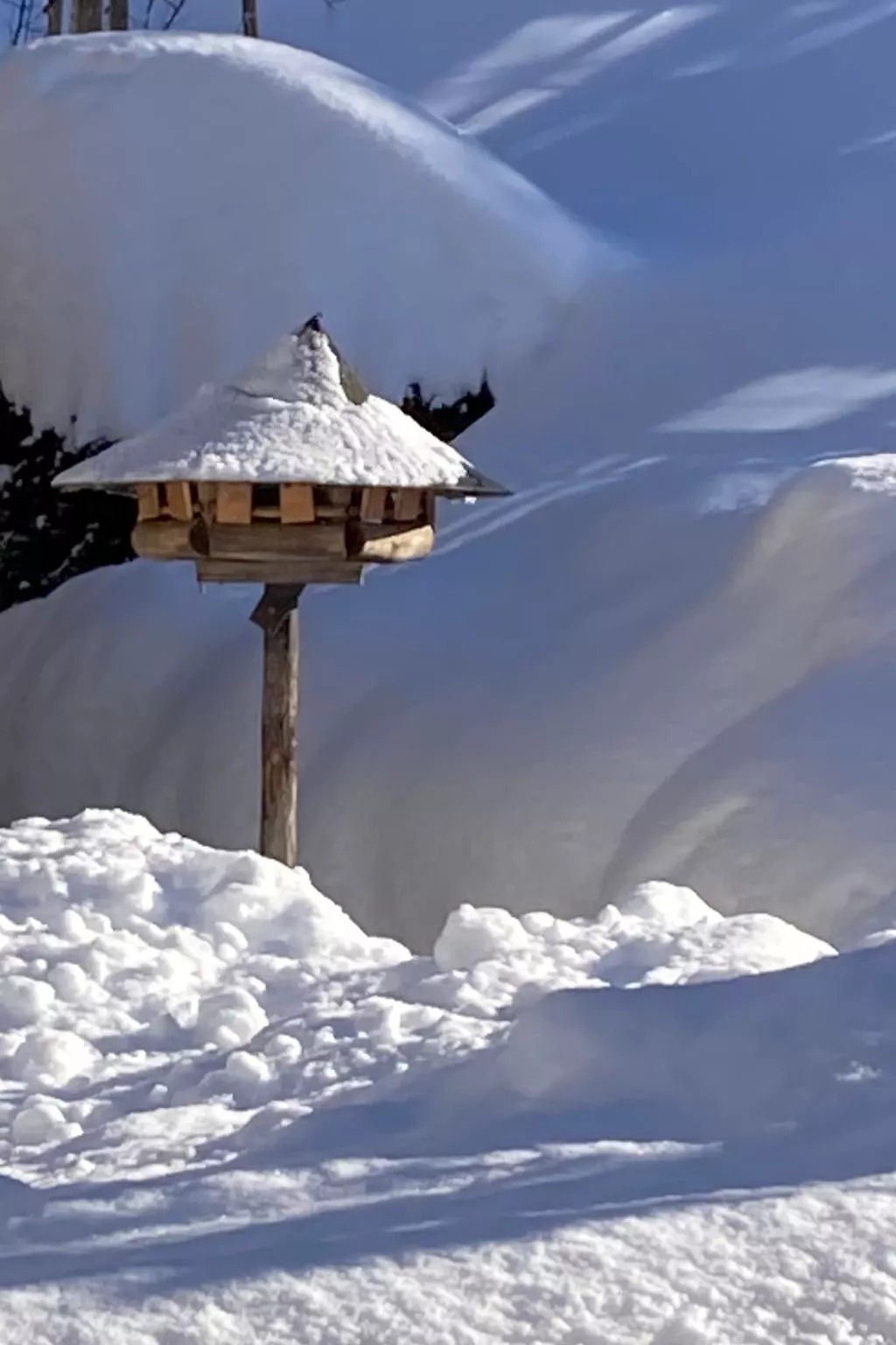 Chalet Sunnsyta;-Outside