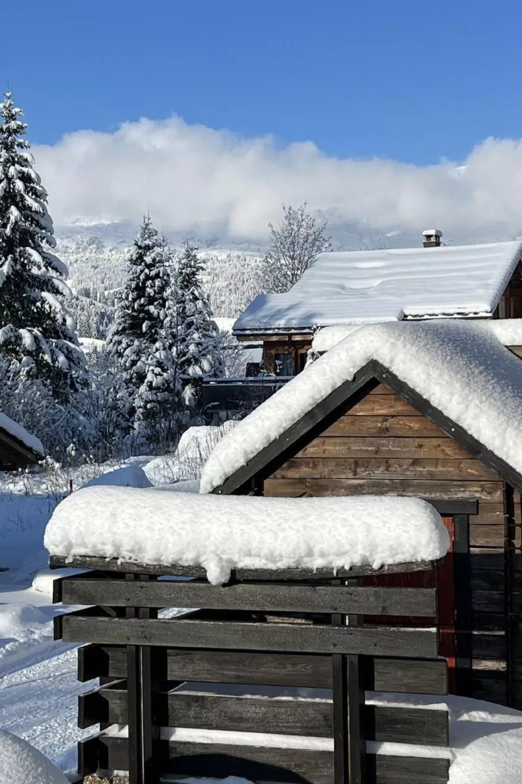 Berg-Ferienwohnung  im Chalet  Zirbeli-Dedans