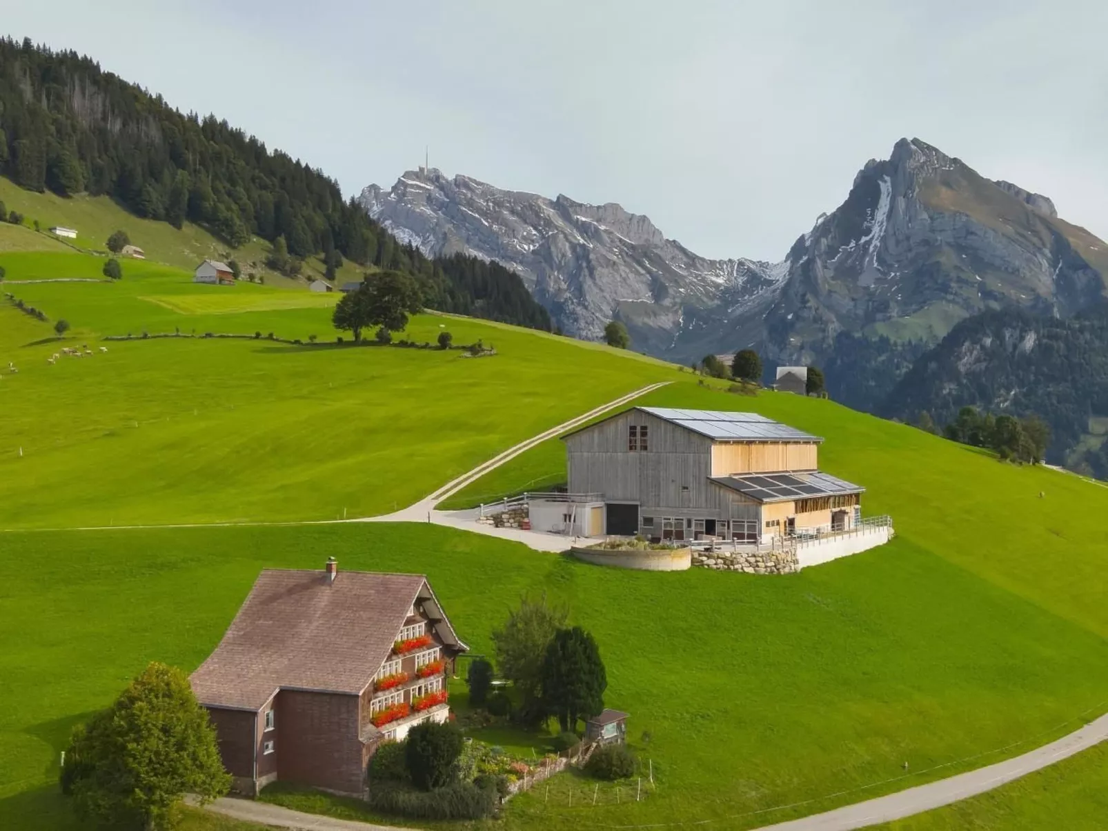 Haldenhof Schwizer-Draußen