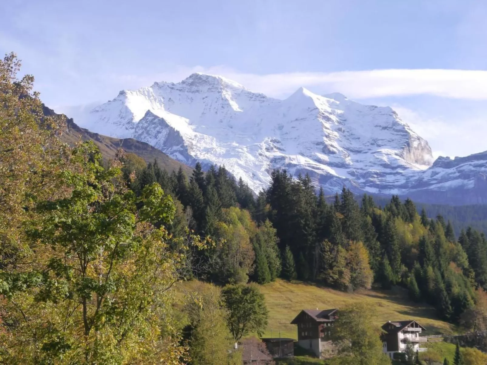 Chalet Acheregg-Dedans